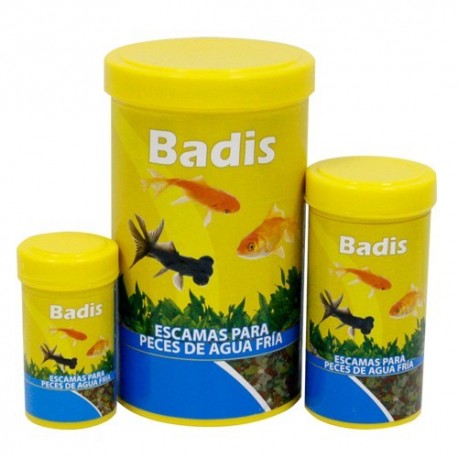 Badis escama para peces agua fría Badis escama para peces agua fría