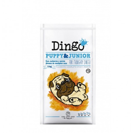 Dingo puppy & junior (cachorros) Dingo puppy & junior (cachorros)