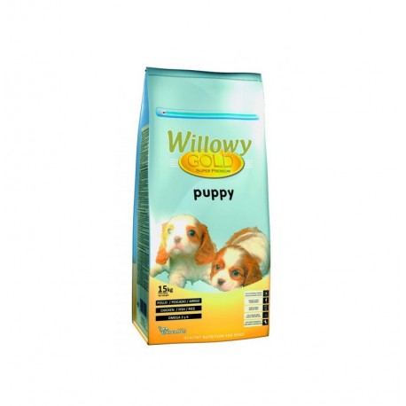 Willowy gold puppy (cachorros) Willowy gold puppy (cachorros)